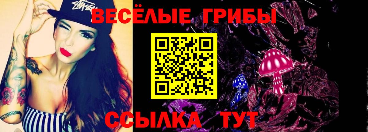 Псилоцибиновые грибы Psilocybe  Вход с VPN  Протвино 